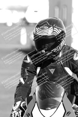 media/Mar-13-2022-SoCal Trackdays (Sun) [[112cf61d7e]]/Around the Pits/